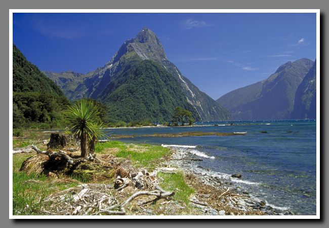 NZ-img031