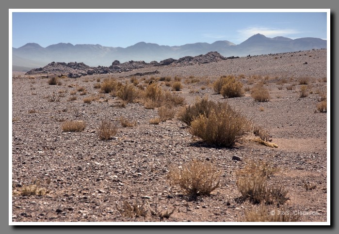 003_SC_Atacama_Wueste_0092