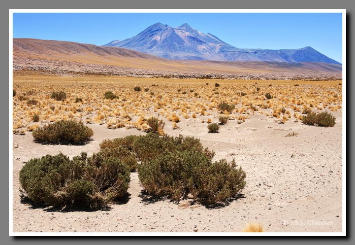 035_SC_Atacama_Wueste_00228