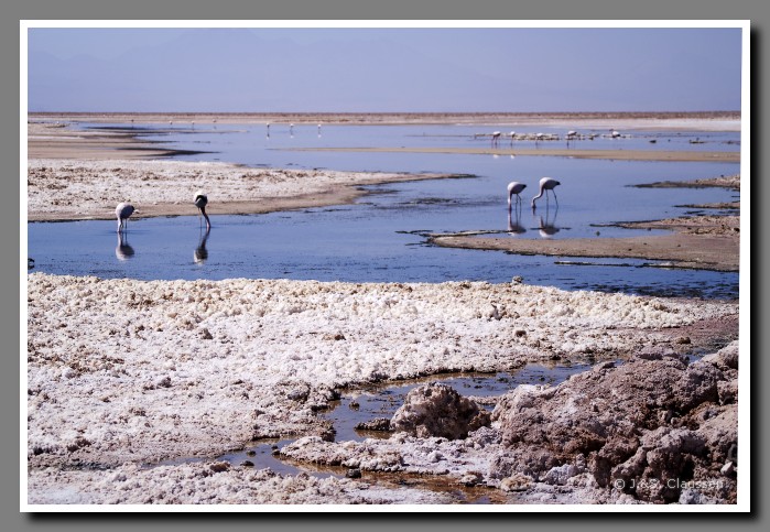 036_SC_Salar_de_Atacama_3041