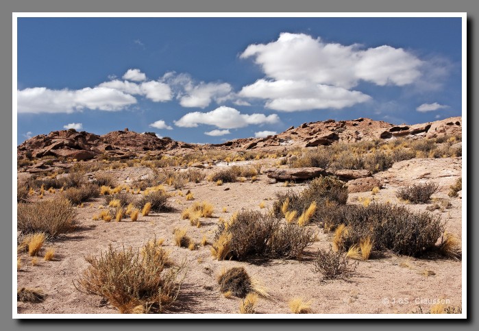 049_SC_Altiplano_0285