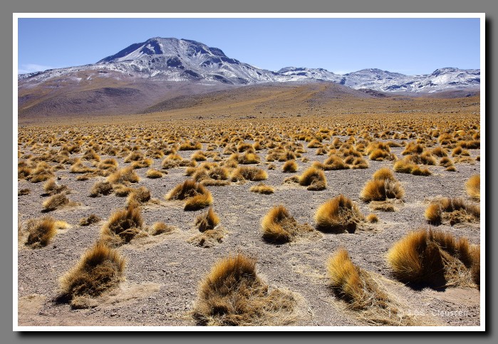 031_SC_El_Tatio_0426