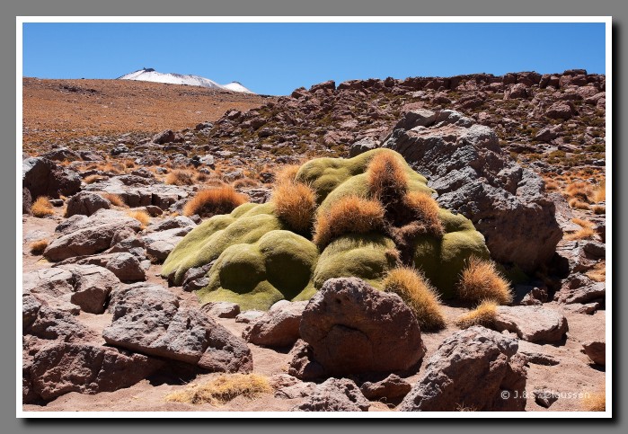 035_SC_El_Tatio_0451
