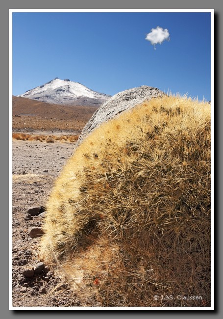 036_JC_El_Tatio_0938