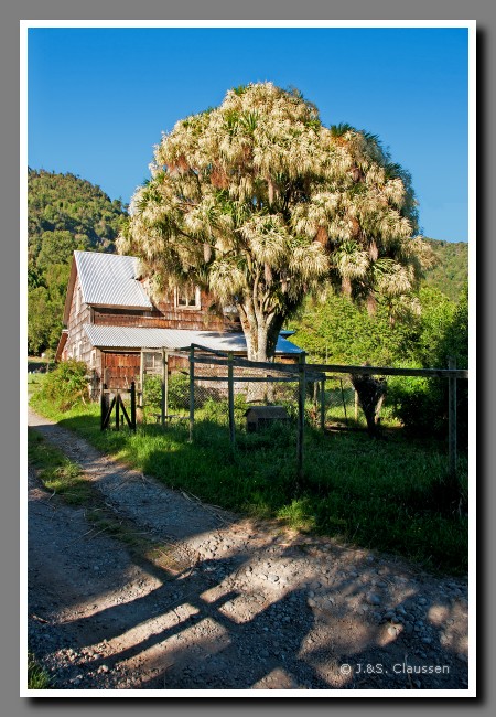 19_SC_Am_Lago_Llanquihue_0619