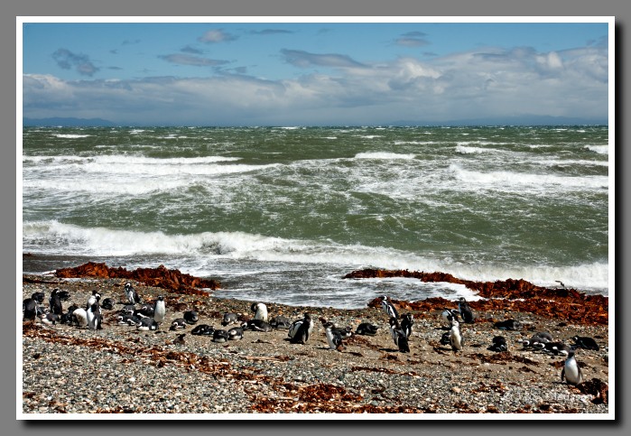 02_JC_Magellanstrasse_1347