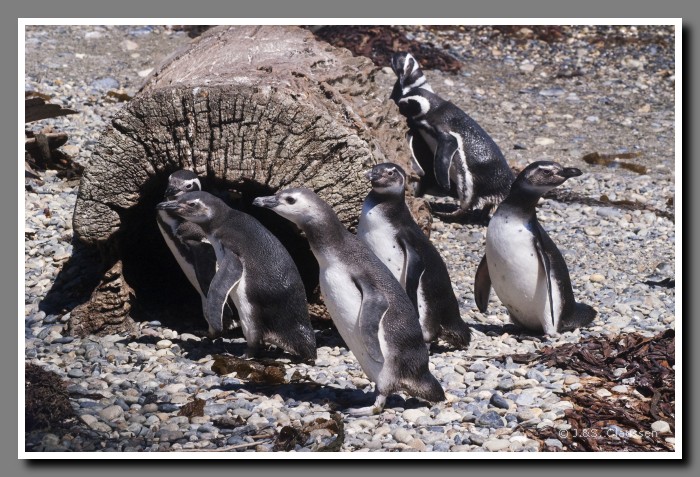 03_SC_Magellanstrasse_3094