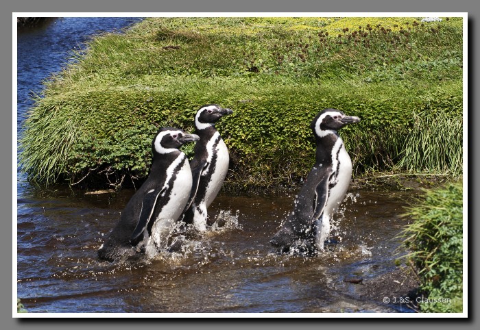 06_JC_Magellanstrasse_5094