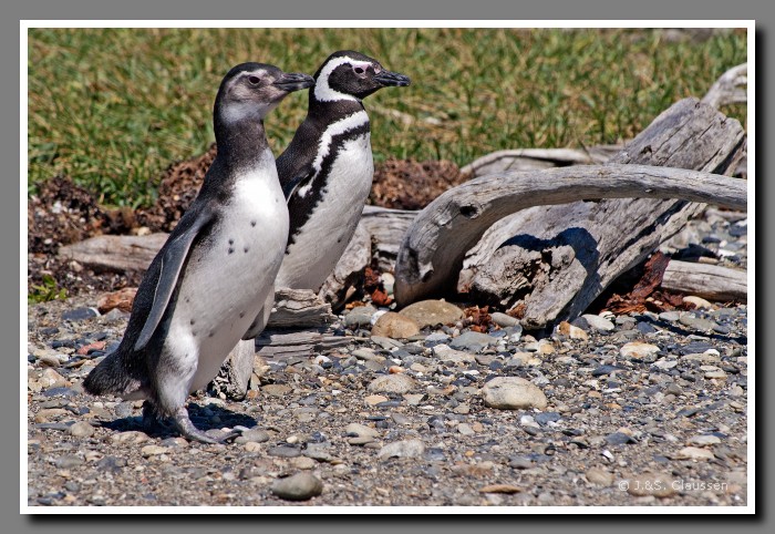 08_JC_Magellanstrasse_5078