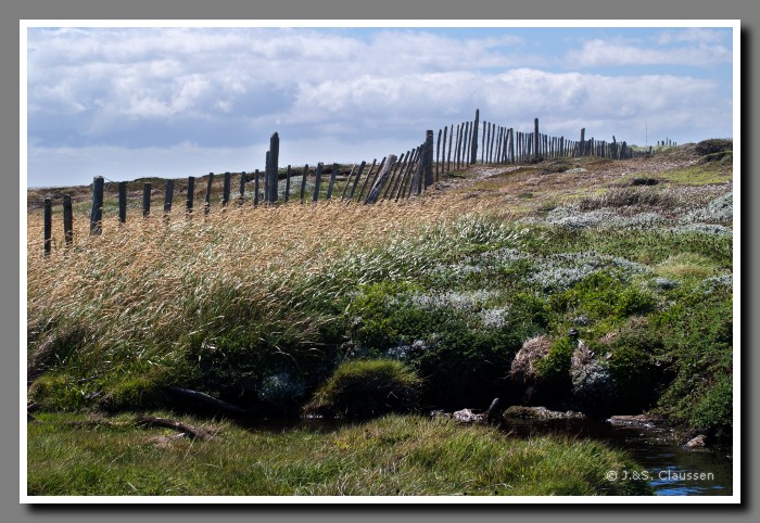 09_SC_Magellanstrasse_3110