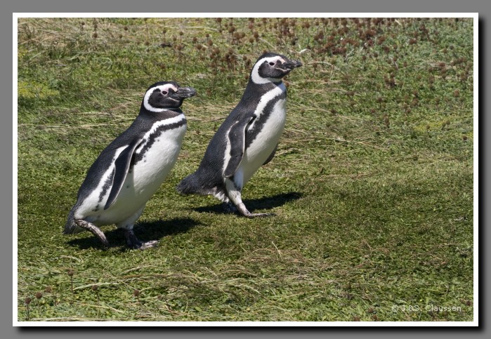 12_SC_Magellanstrasse_3106