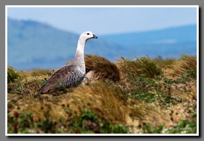 13_JC_Magellanstrasse_5095