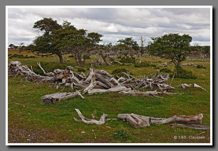 22_SC_Patagonien_00798