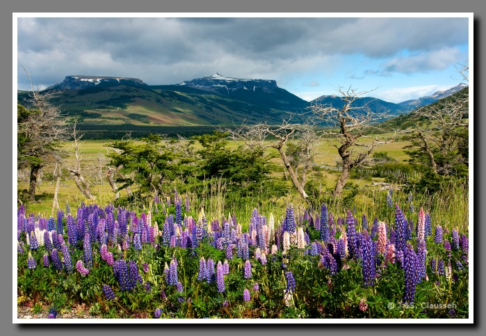 43_SC_Patagonien_0883