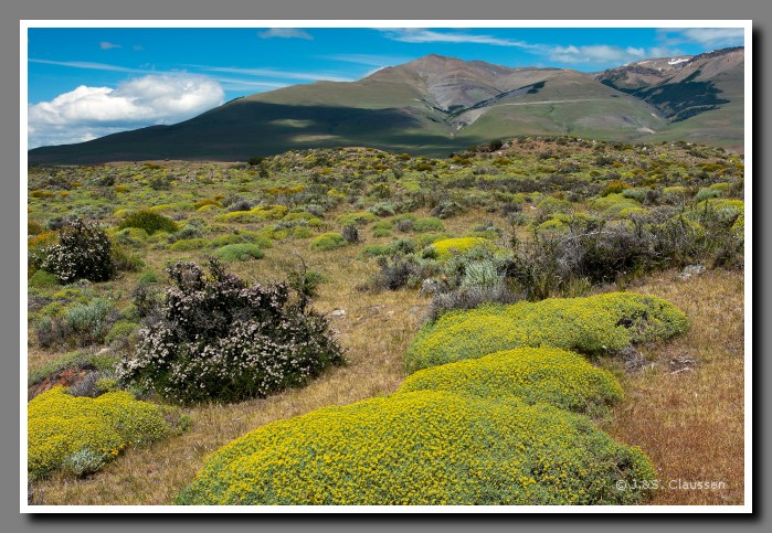 52_SC_Patagonien_0927