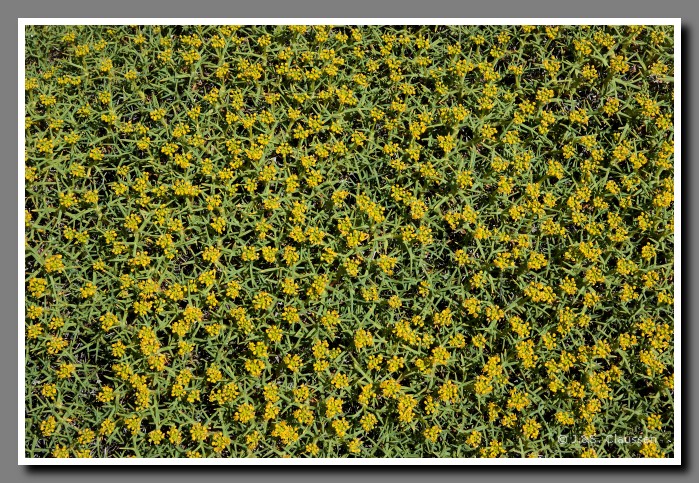 53_SC_Patagonien_0928