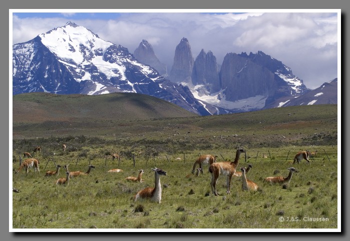 56_SC_Patagonien_3163