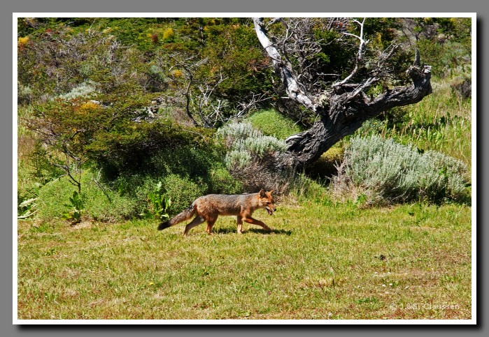 21_SC_Torres_del_Paine_1123