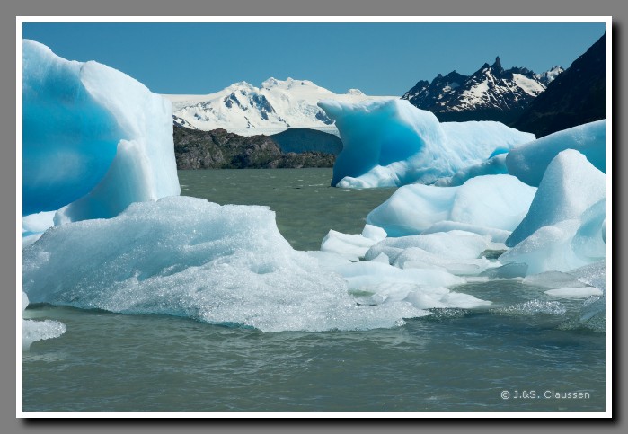 26_SC _Grey_Gletscher_1109