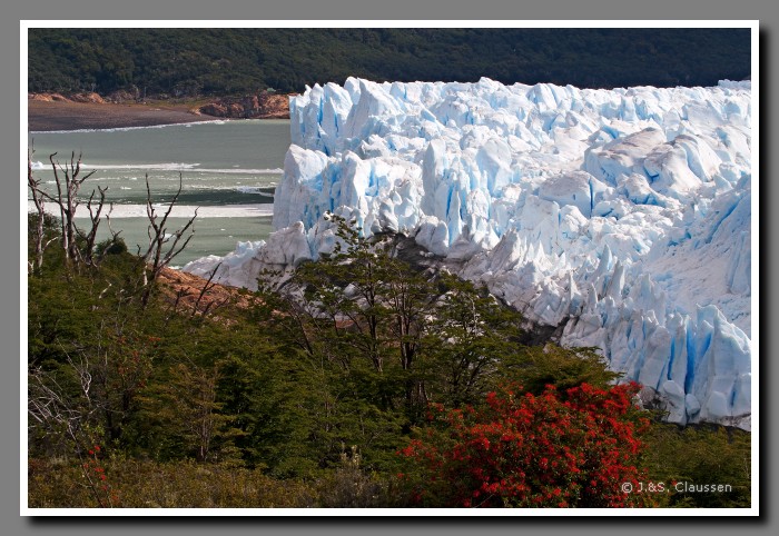 06_SC_Moreno_Gletscher_3200