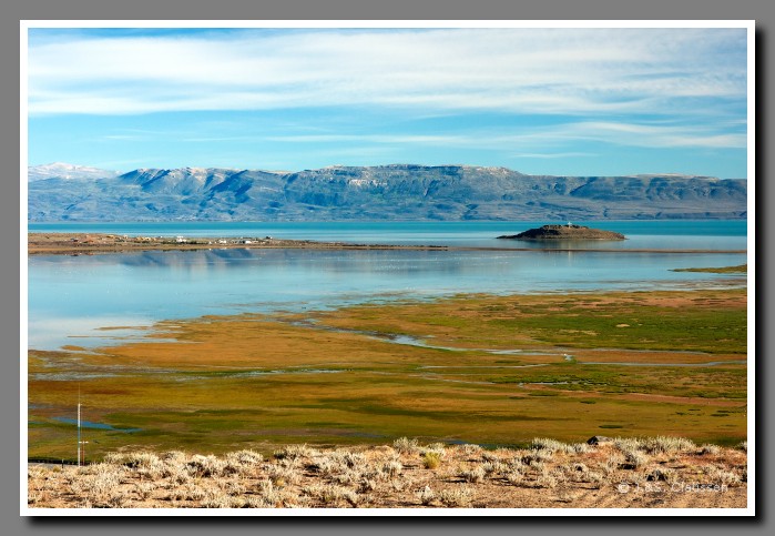 19_SC_Calafate_Lago_Argentino_1296