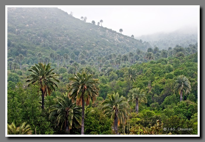 17_SC_La_Campana_0029