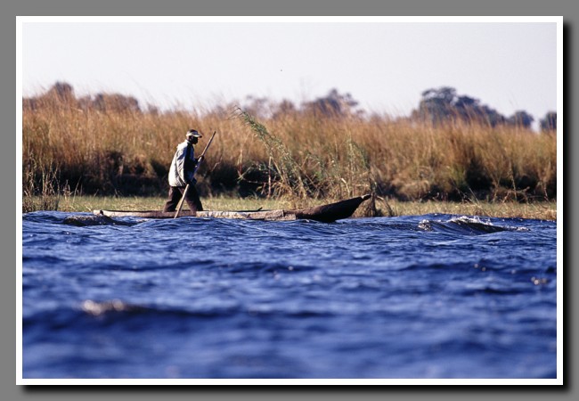 Chobe-002