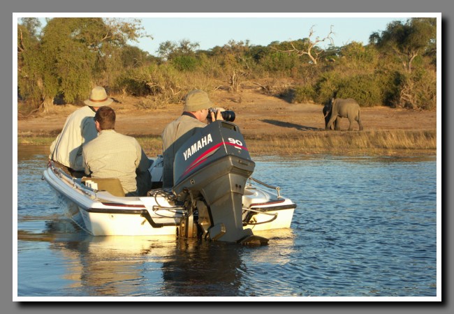 Chobe-031
