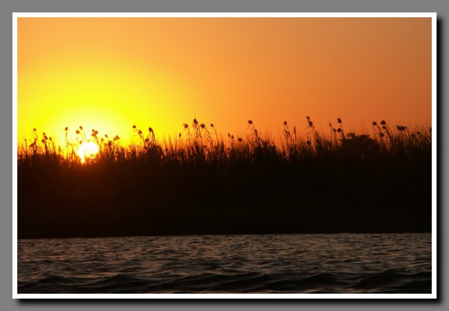 Chobe-046