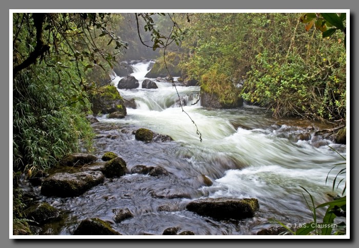 023_J_Papallacta1659