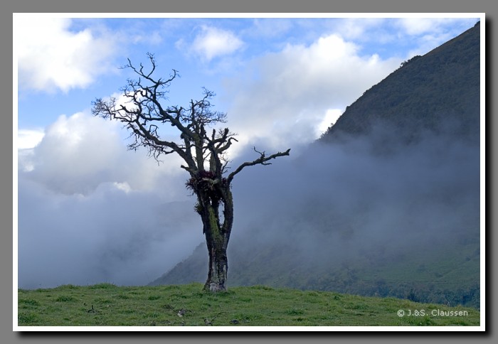 032_J_Papallacta1685