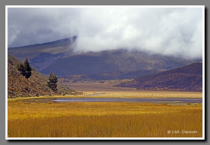 057_J_Cotopaxi_NP1819