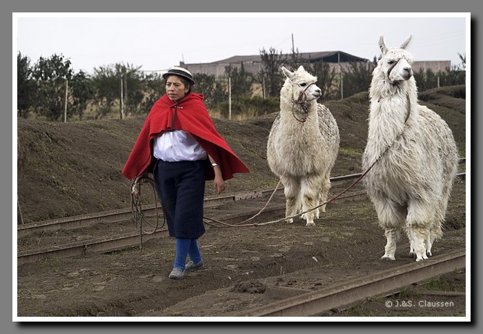 073_J_Frau-Alpaka1883