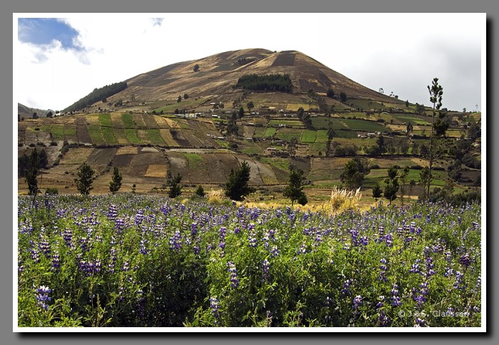 080_S_Anden_bei_Riobamba1123