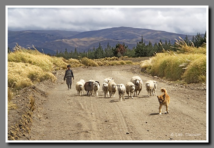 081_S_alie_Passtrasse1128