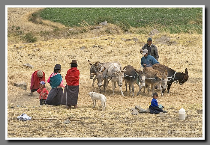 083_J_Linsen_dreschen1913