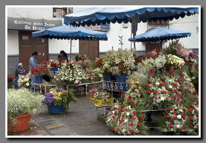 136_J_Cuenca_Blumenmarkt2017