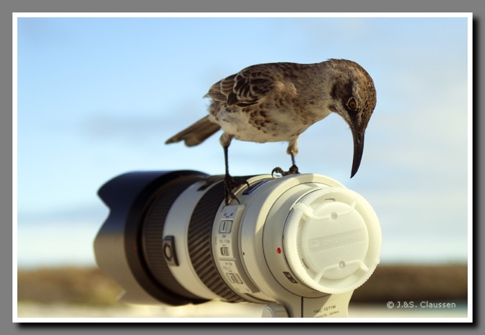 015_J_Espanola_Objektivtest2204