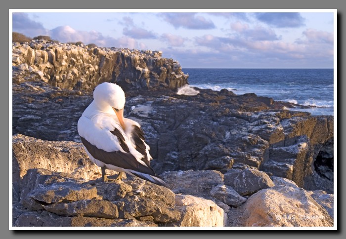 033_J_Espanola_Toelpel_2408