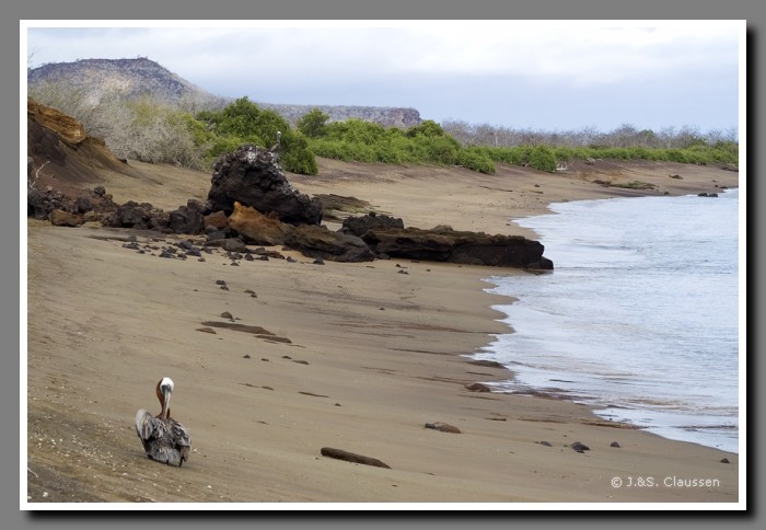 037_S_Insel_Floreana1531