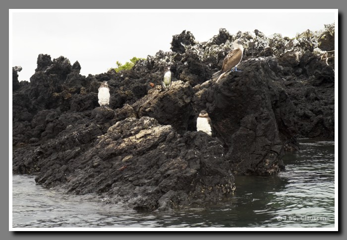 061_J_Tintoreras_Kueste2537