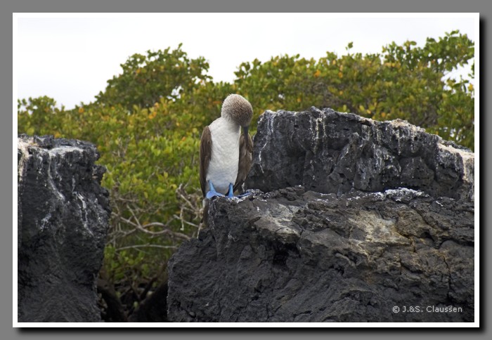 062_J_Tintoreras_Kueste2544