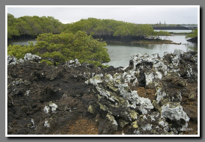 063_S_Las_Tintoreras1648