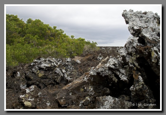 064_J_Las_Tintoreras2547