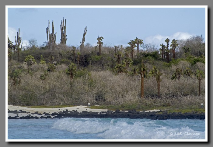 096_S_Santa_Cruz_Tortuga1862