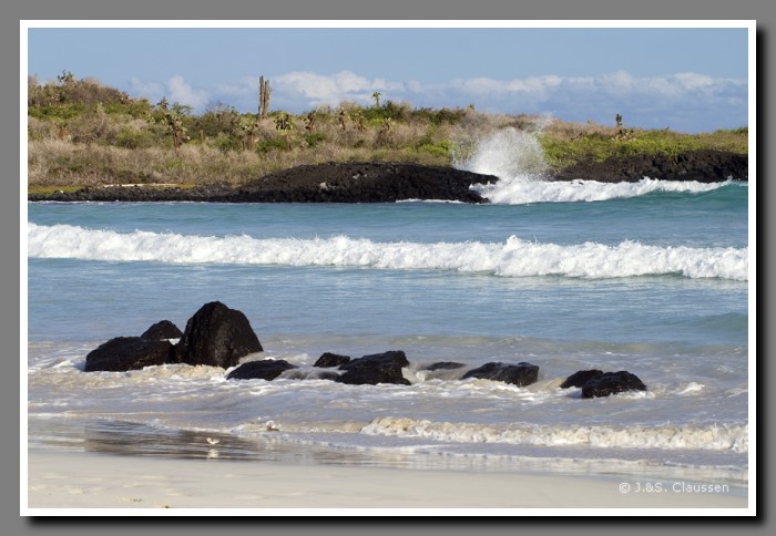 097_J_Santa_Cruz-Tortuga2887