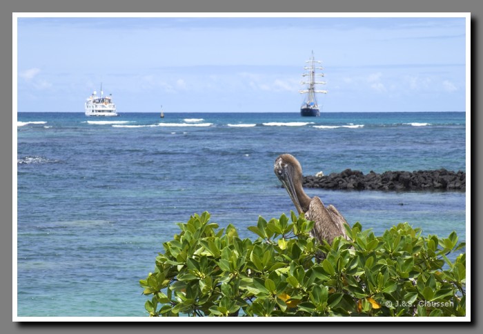 100_J_Puerto_Ayora2831