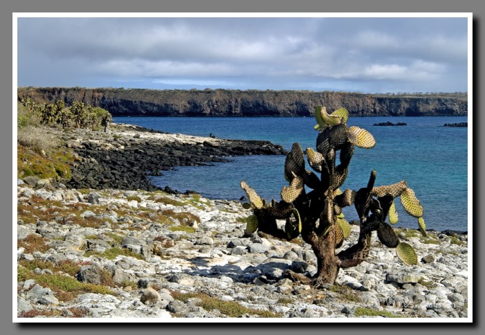 138_S_Insel_Plaza_Sur2137