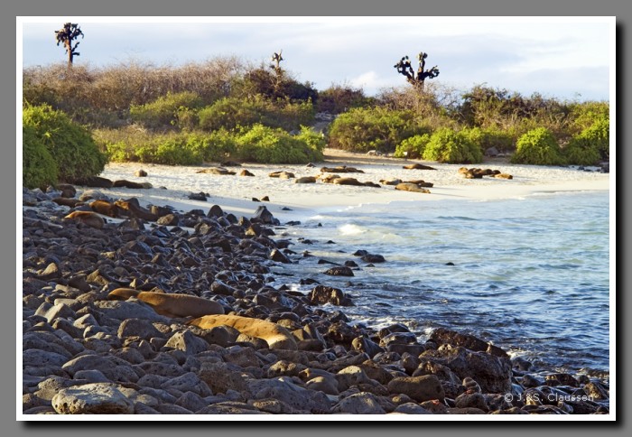 145_S_Insel_Santa_Fe2205