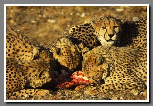 namibia-008